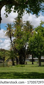 Jardim Mário Soares, Also Known As Jardim Do Campo Grande, Is The Largest Garden In The Center Of Lisbon, Occupying An Area Of 11.1 Hectares, Reaching 1,200m Long By 200m Wide