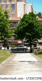 Jardim Mário Soares, Also Known As Jardim Do Campo Grande, Is The Largest Garden In The Center Of Lisbon, Occupying An Area Of 11.1 Hectares, Reaching 1,200m Long By 200m Wide