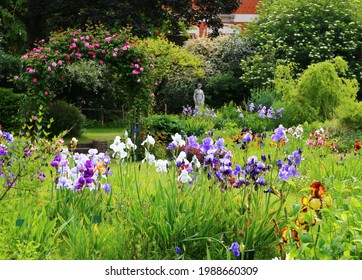 Jardin Des Plantes, Paris, France - June 2021: The Colorful Garden With Iris Flowers In Jardin Des Plantes In Paris
