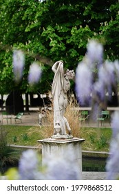 At The Jardin Des Tuileries, Paris