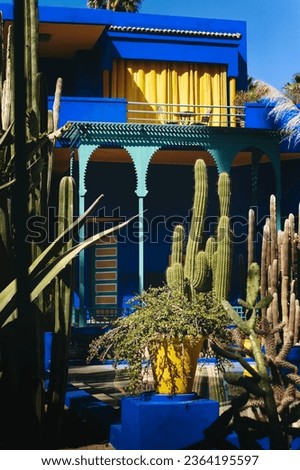 jardin majorelle in Marrakesh. Beautiful view in gardens