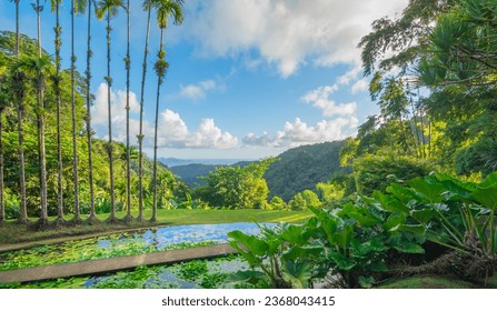 Jardins de la Balata in Fort-De-France, Martinique. Exotic gardens of the French West Indies.