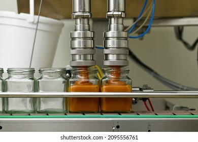 Jars of creamed honey being filled in a packaging line at a commercial honey factory