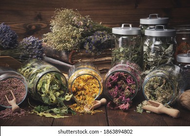 Jars of dry medicinal herbs - heather, calendula, coneflowers, linden tree flowers, melissa, bunches of dry plants, old books on wooden table. Alternative medicine.  - Powered by Shutterstock