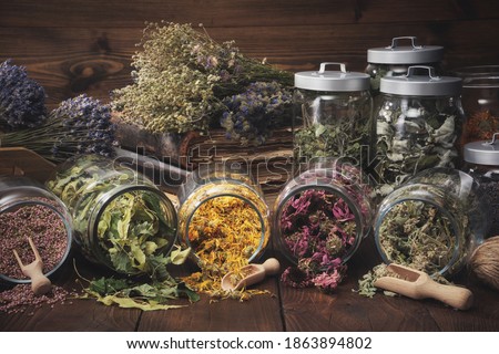 Jars of dry medicinal herbs - heather, calendula, coneflowers, linden tree flowers, melissa, bunches of dry plants, old books on wooden table. Alternative medicine. 