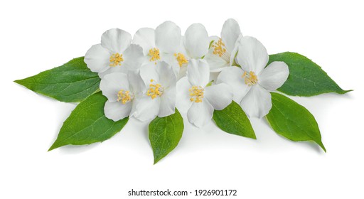 莉 Images Stock Photos Vectors Shutterstock