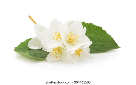 Tisane Fleur Stock Photos Images Photography Shutterstock