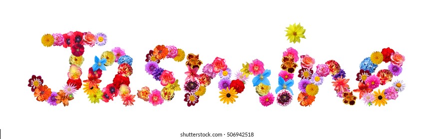 Jasmine Flower Name Stock Photo 506942518 | Shutterstock