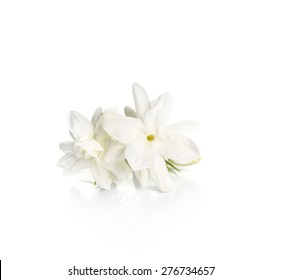 Jasmine Flower Over White Background