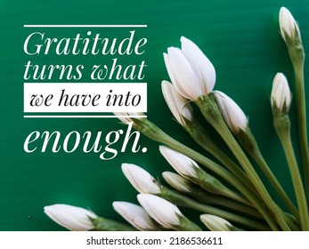 Jasmine flowers with Inspirational quotes - Gratitude turns what we have into enough. - Shutterstock ID 2186536611
