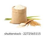  Jasmine rice in burlap sack bag with paddy rice isolated on white background.