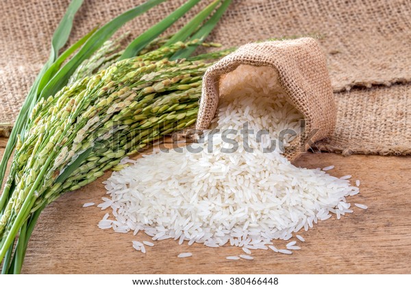 Jasmine Rice Sack Stock Photo 380466448 