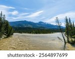 Jasper National Park summer landscape. Miette River before its confluence with the Athabasca River. Alberta, Canada. Canadian Rockies.