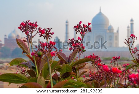 Jatropha integerrima on a background of of the Taj Mahal. Shallow DOF