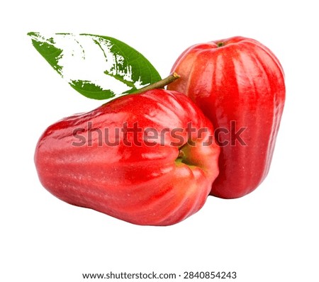 Java Apple Fruit Side Presentation With Brigh Isolated On White Background