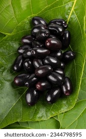 Java Plum or Indian Blackberry,isolated image with white background