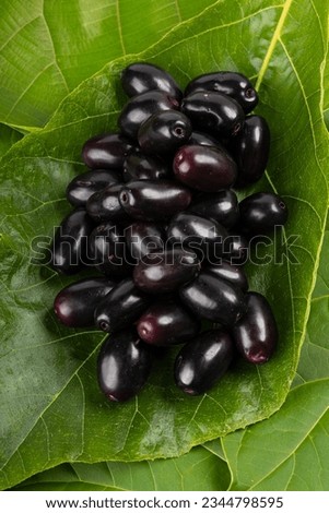 Java Plum or Indian Blackberry,isolated image with white background
