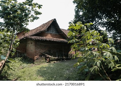 
Javanese Traditional House With Plant Isolation