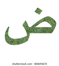 Jawi Scripts Or Malay Alphabet From The Grass Isolated On White Background.