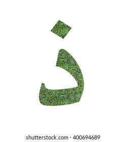 Jawi Scripts Or Malay Alphabet From The Grass Isolated On White Background.