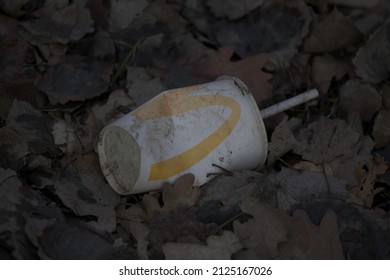 Jawiszowice Malopolska Poland 16.01.2022 - Dirty McDonald Cup That Was Discarded Out In The Forest