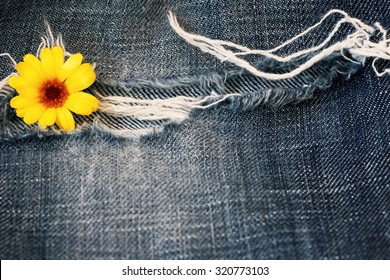 jeans texture with flower  - Powered by Shutterstock