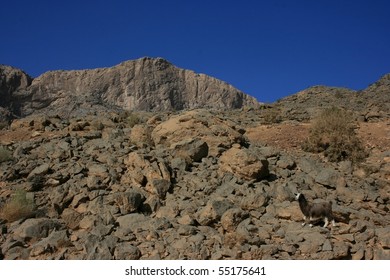 Jebel Shams, Highest Ountain In Oman