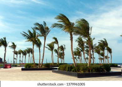 Jeddah Water Front New Beach