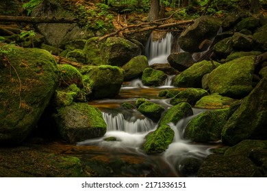 Jedlova creek in Jizerske mountains in spring cloudy morning - Shutterstock ID 2171336151
