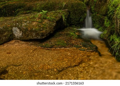Jedlova creek in Jizerske mountains in spring cloudy morning - Shutterstock ID 2171336163