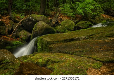 Jedlova creek in Jizerske mountains in spring cloudy morning - Shutterstock ID 2171336171