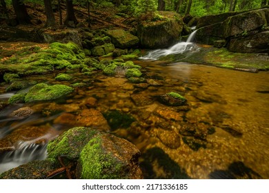 Jedlova creek in Jizerske mountains in spring cloudy morning - Shutterstock ID 2171336185
