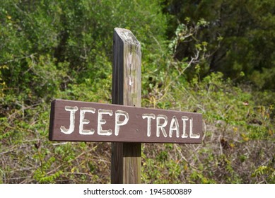 The Jeep Trail. A awesome hiking trail in Southwest Florida. 