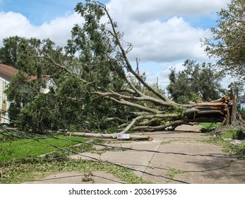 Jefferson, LouisianaU.S.A. - August 30, 2021: Storm damage from Hurricane Ida in Louisiana.