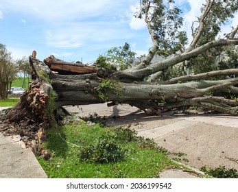 Jefferson, LouisianaU.S.A. - August 30, 2021: Storm Damage From Hurricane Ida In Louisiana.