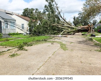 Jefferson, LouisianaU.S.A. - August 30, 2021: Storm Damage From Hurricane Ida In Louisiana.