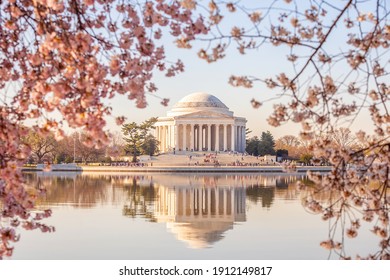 The Jefferson Memorial during the Cherry Blossom Festival. Washington, D.C. in USA
