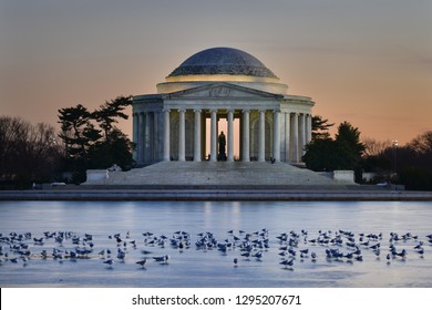 Jefferson Memorial at night with frozen lake and seagulls