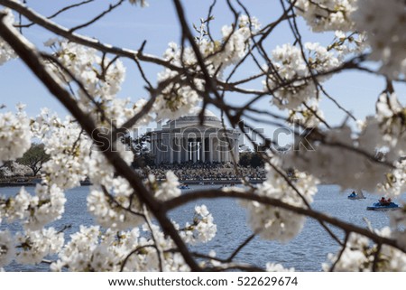 Jefferson Memorial at the Tidal Basin, Washington D.C. Cherry Blossoms