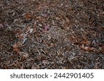 Jefferson Park, Richmond Virginia. Historic park with changing and falling leaves, piles of mulch, street  road signs, J. Fulmar Bright Monument, and views of City of Richmond, Va. 