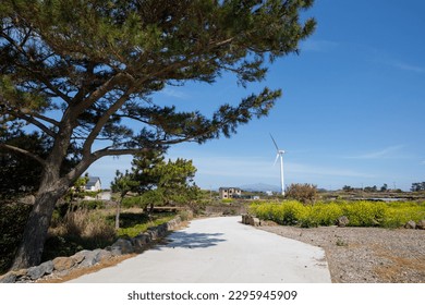 Jeju Island Sinchang Windmill Coastal Road - Powered by Shutterstock