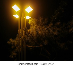 Jeju Night Sodium Streetlight