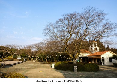 Jeju South Korea Feb 18 2019 Stock Photo Edit Now 1343628836