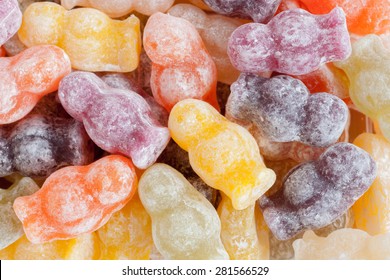 jelly baby photography