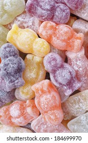 jelly baby photography