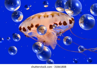 jelly fish with bubbles