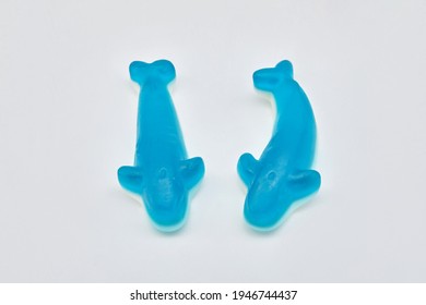 Jelly Fish Candies. Gummy Shark