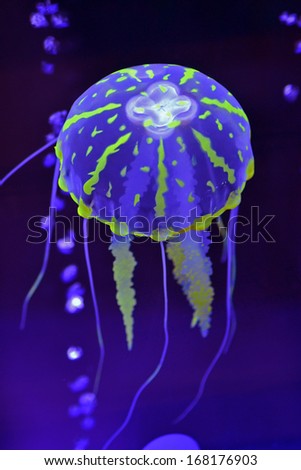 jellyfish 