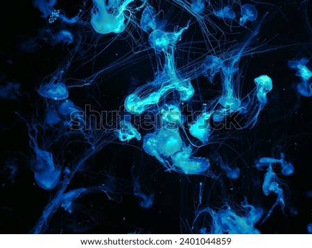 Jellyfish group long tentacles swim and glow x-ray effect dark background pop art print design futuristic retrowave style.  Impressionistic photo with gradient. Blurred transparent animal acid graphic