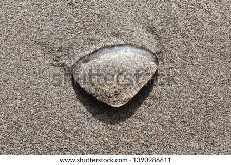 Similar – Beautiful hand holding a stone, on a beach sand background.